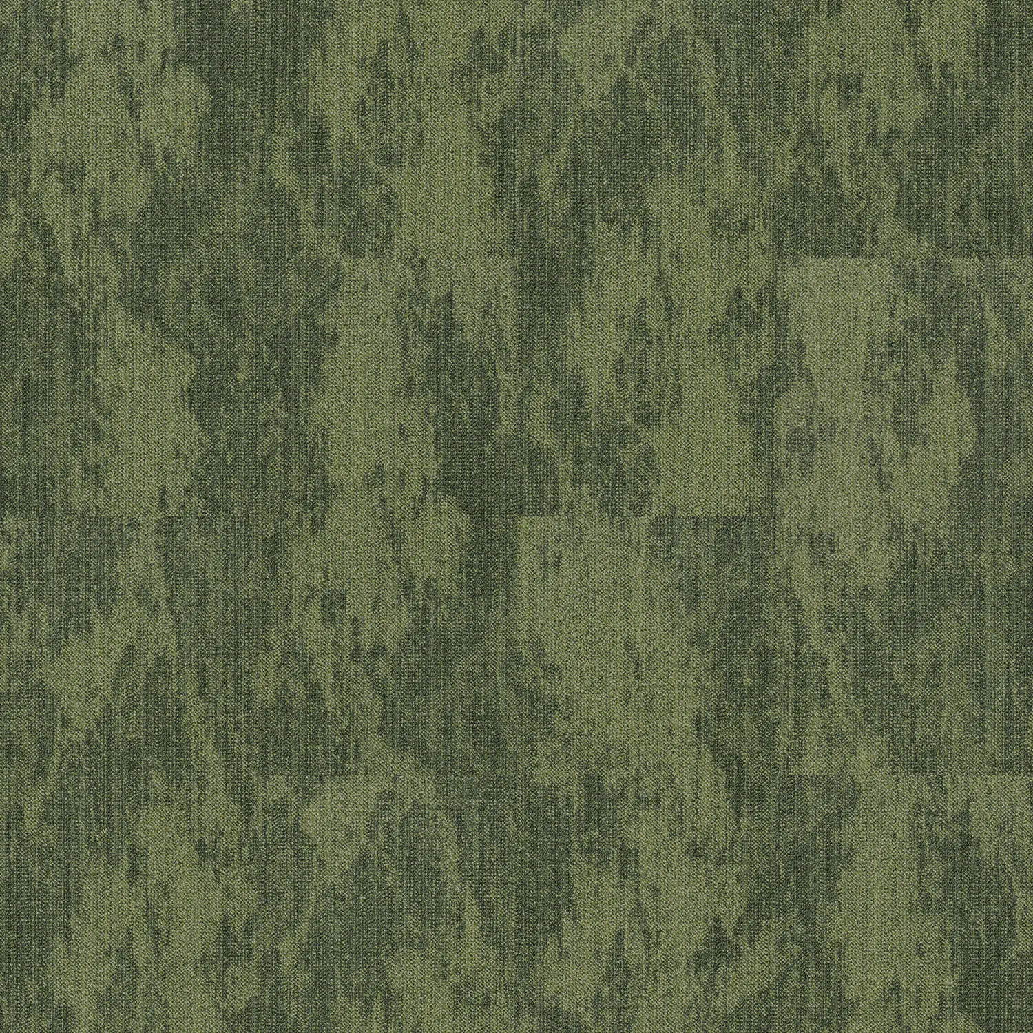 s6_image_mr